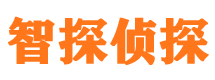 温岭市私家侦探